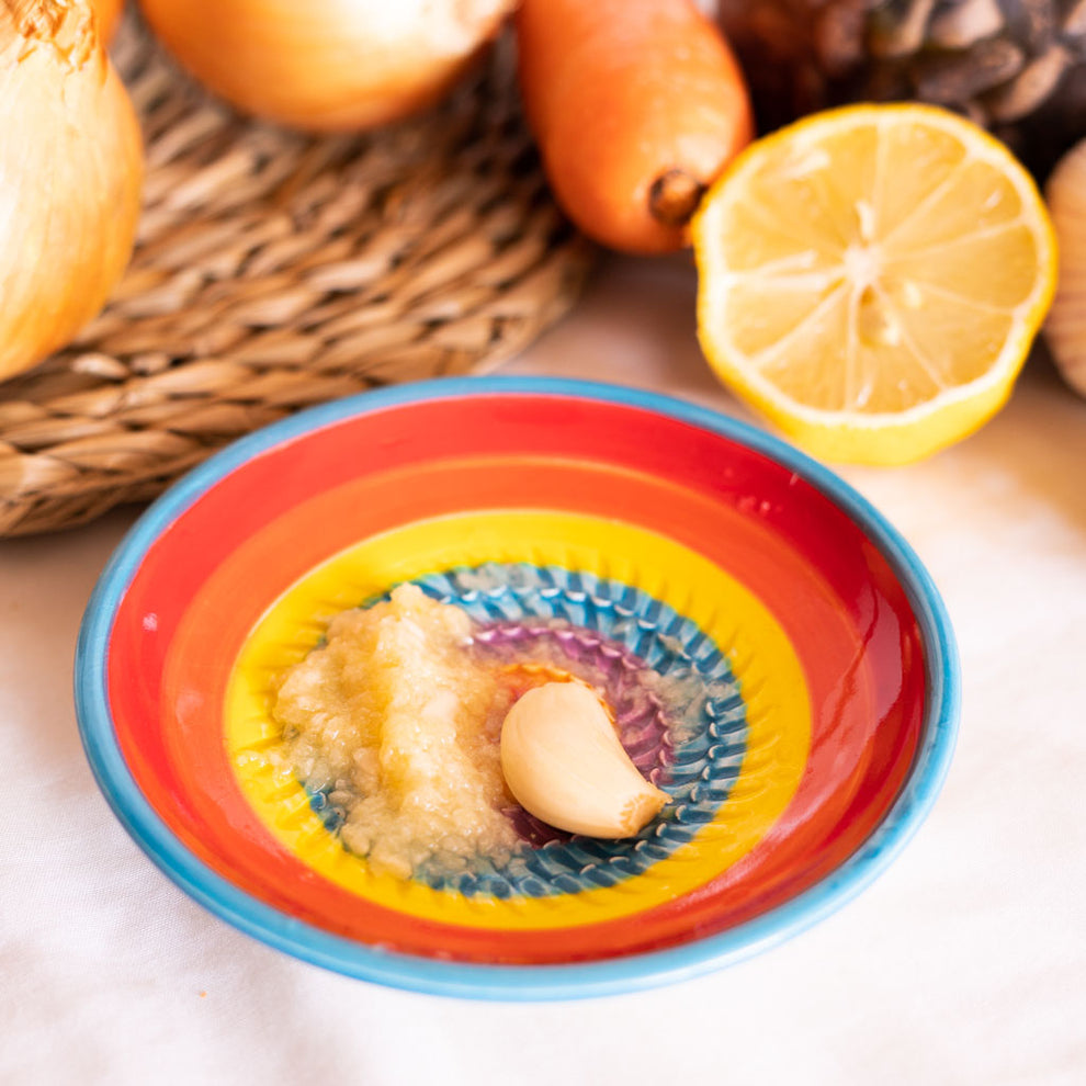 Rainbow Ceramic Garlic Grater Plate and Bowls 3 sizes