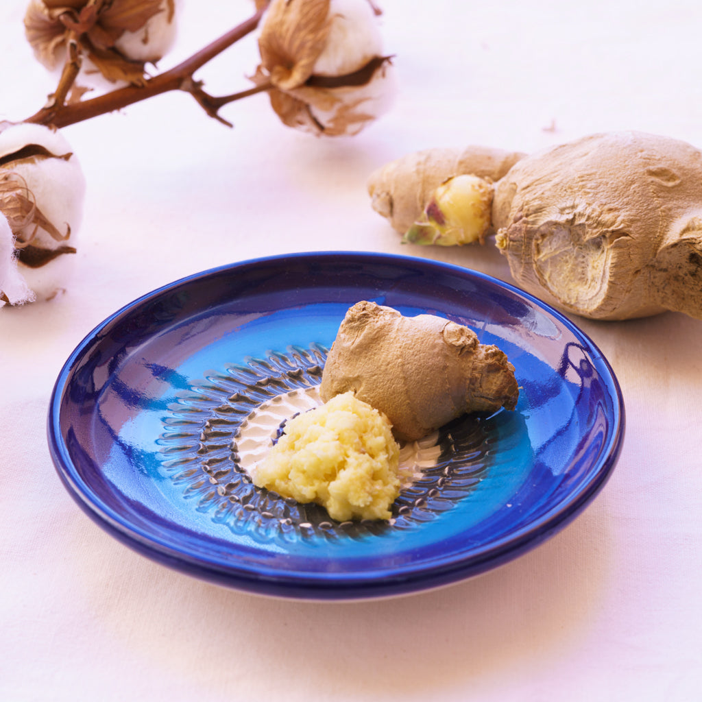 Ceramic Garlic Grater Plate Hand Made Ginger Grater Kitchen Dish